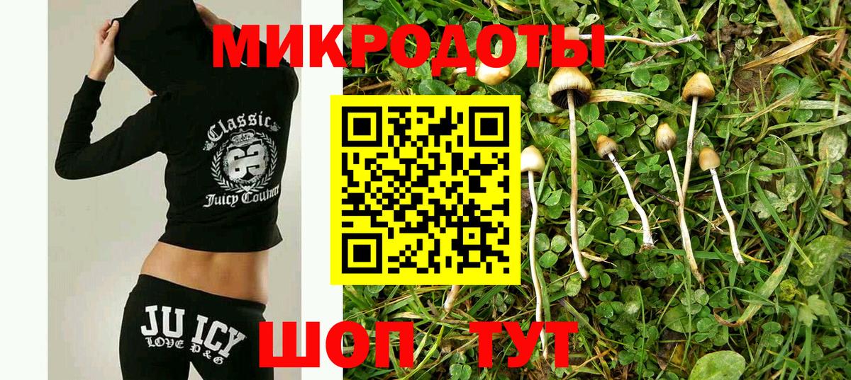 Псилоцибиновые грибы прущие грибы  Вход с VPN  купить наркотик  Вышний Волочёк 